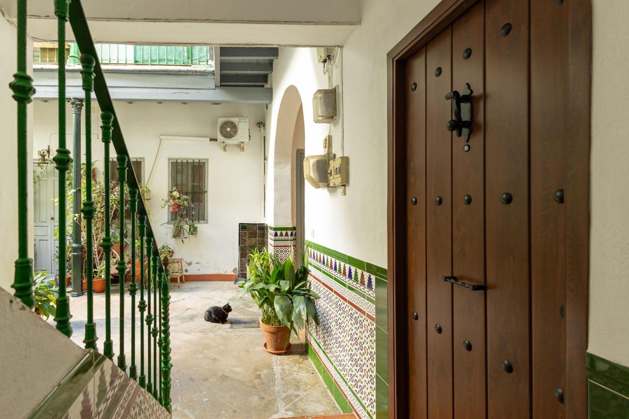Modern Spacious Apartment Central Of Sevilla Exteriér fotografie